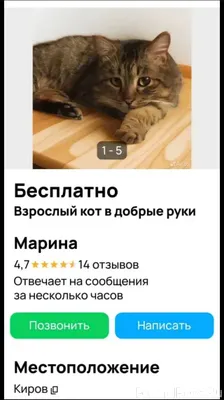 Максимальный репост! У нас про...