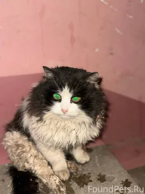 Вчера в 22ч возле д. 2...