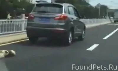 НАЙДЕНО ПОХОЖЕЕ......... 2022-...