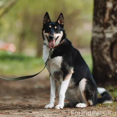 СРОЧНО! Прошу репосты! На Заре...