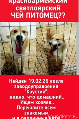 ВОЛГОГРАД КРАСНОАРМЕЙСКИЙ СВЕТ...