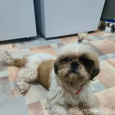 Помогите пожалуйста найти. Сег...