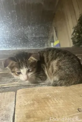 Даже не знаю,пишу с обреченнос...