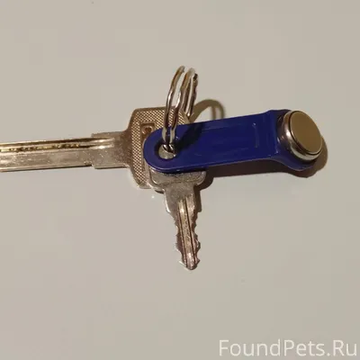 Чья потеряшка? Найдено на улиц...