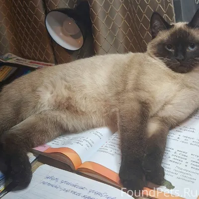 Здравствуйте! Помогите найти к...