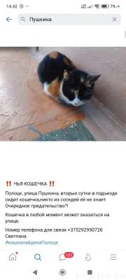🆘🆘🆘 Очередное предательство Пр...