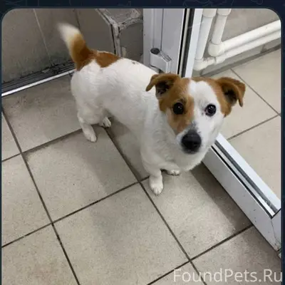 Здравствуйте! Опубликуйте пожалуйста срочно! 🆘🆘🆘 Убежала...