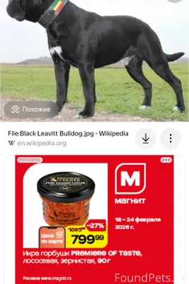 Вышла ночью на балкон и увидела...