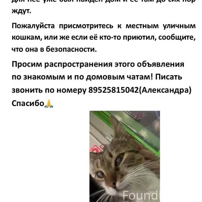 Дорогие друзья ❗️

В вашем районе...