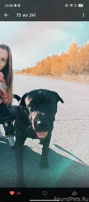 Срочно Пропал пес, убежал во в...