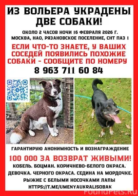 Поиск продолжается ‼Похищены с...