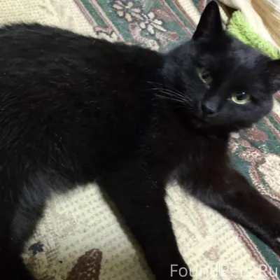 Вчера, в конце ул. Менделеева ...