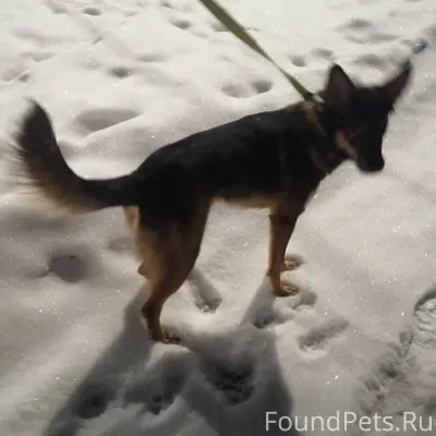 Санкт-Петербург, Купчино #Найд...