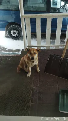 Друзья и просто неравнодушные ...