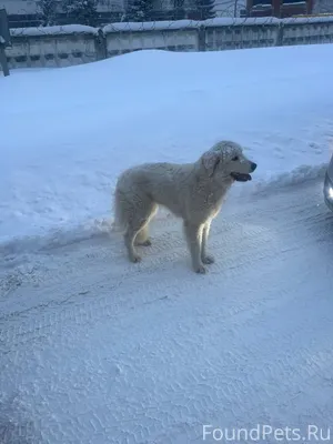 Добрый день Сегодня в 8.00...