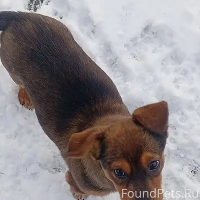 Здравствуйте! 17 февраля пропа...