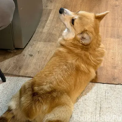 Здравствуйте, на улице максюши...