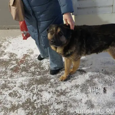 #найдено Коломна, Озёрский про...