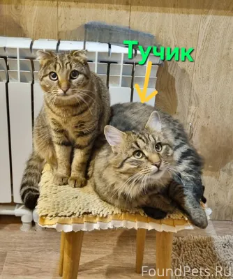 Район с.Петровское - д.Рязанов...