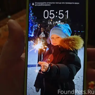 Утром муж гулял с собакой и...