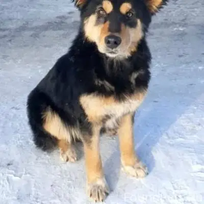 Надежда Лео, [21.02.2026 12...