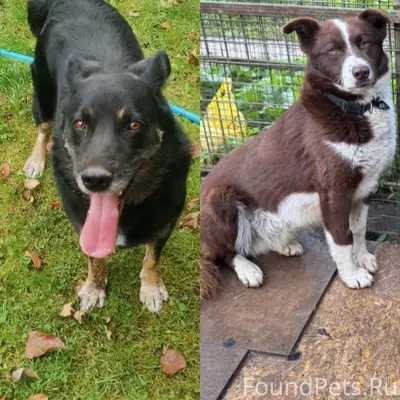 Здравствуйте. Разместите, пожалуйста. Может кто то...