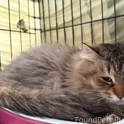 СПб Калининский район 
19.02 в...