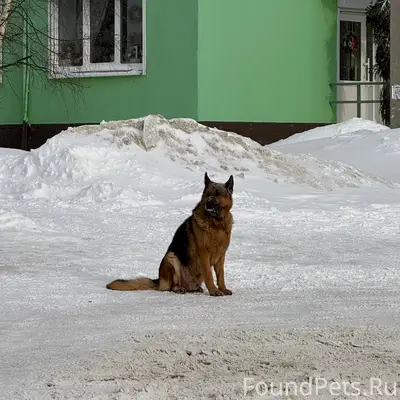 Сегодня, в районе магазина «Для Вас»...