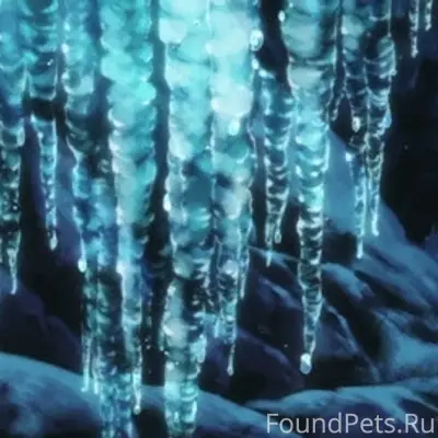 — Мама, мама, пойдём, покажу, что...