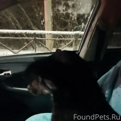 На улице, в самую морозную ночь...