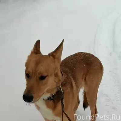 Дорогие друзья!
Я обращаюсь к вам...
