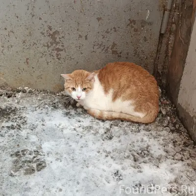 20.02.26 утром во дворах...