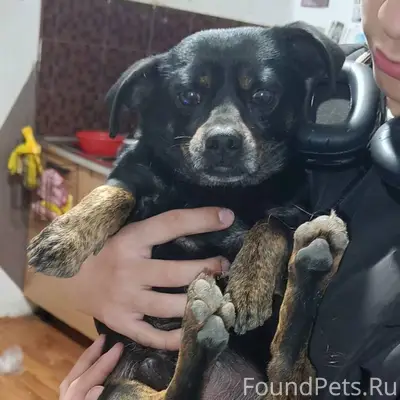 Здравствуйте. В Комсомольском районе по улице...