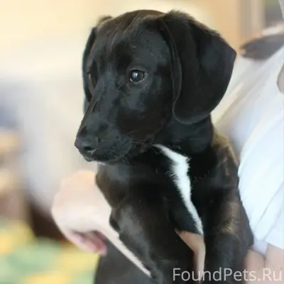 Срочно ‼️ в районе Южного найдена...