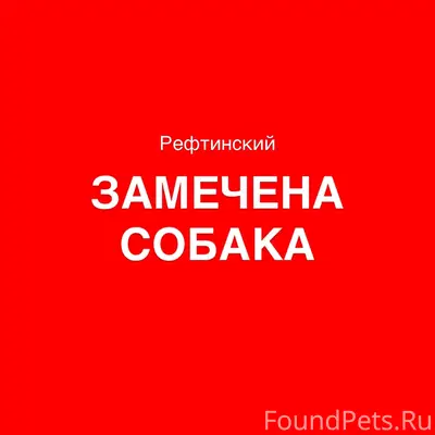 Пропала собака, похоже на овчарку, Гагарина 4