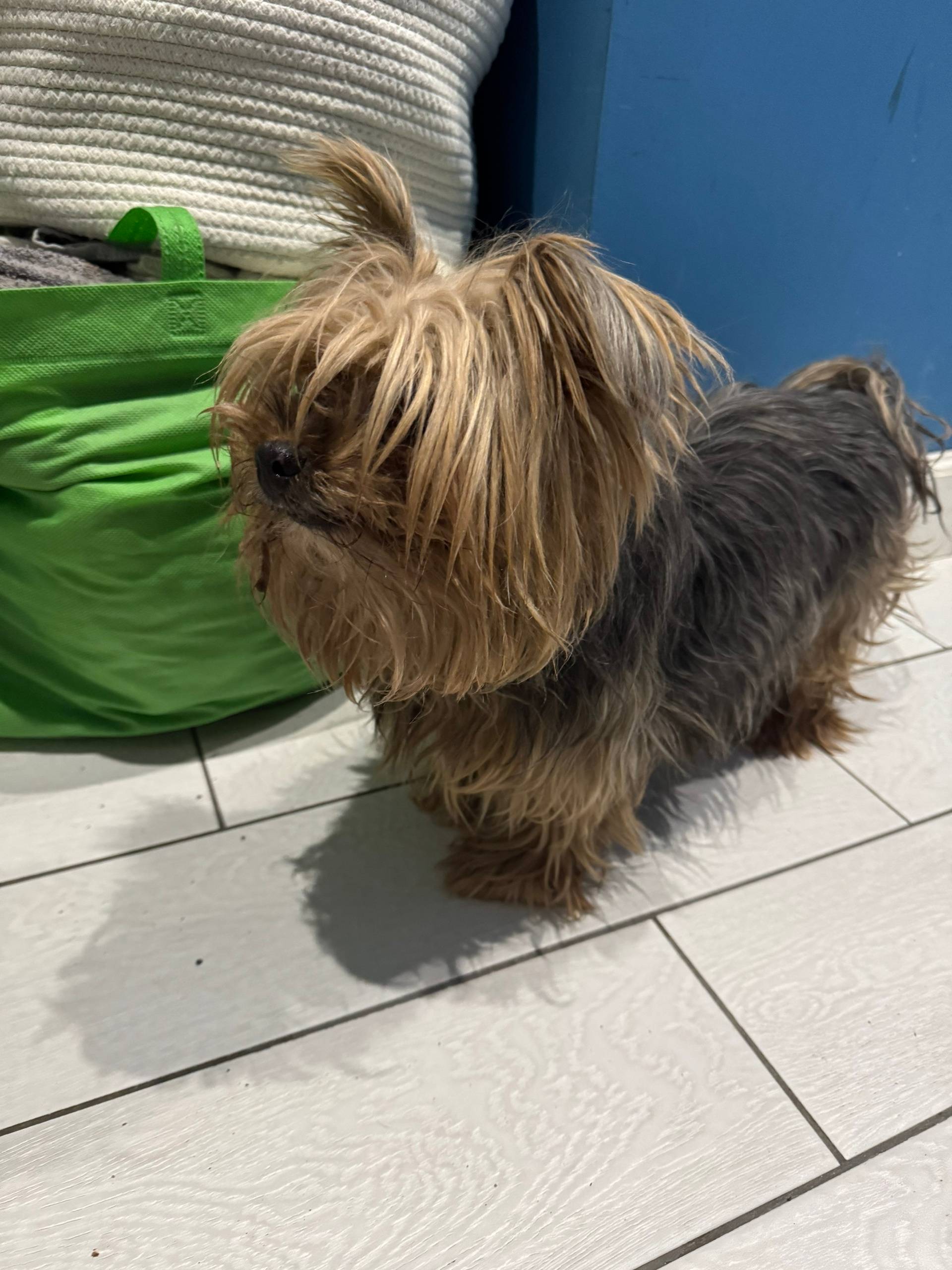 Найден йорк, Калининский район