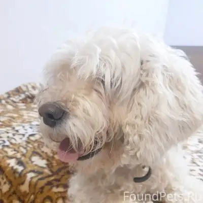 В районе улицы Старых Большевиков 77...