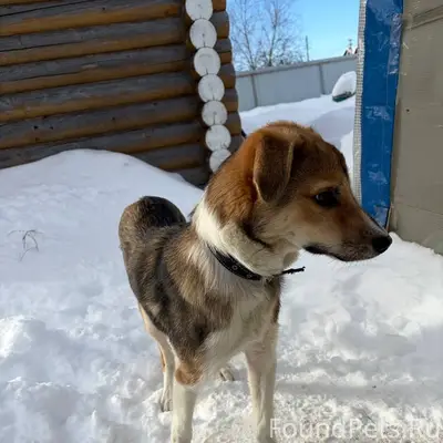 На трассе между В.Волочком и...