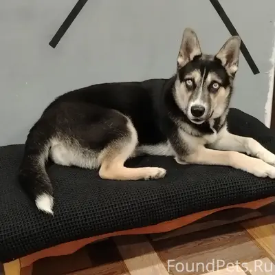 20.02.2026  р-н Вагонка...