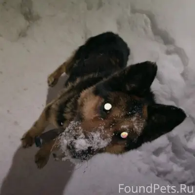 Пожалуйста помогите репостом. А вдруг он...