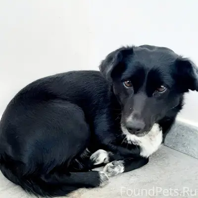 Мой друг, проходя возле ПАТП увидел...