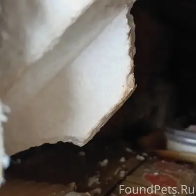 🐈🐈🐈🐈🐈
Доброе Утро Дорогие Друзья!
Всем...