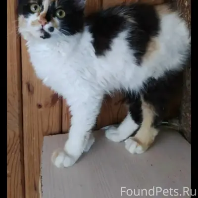 МАКСИМАЛЬНЫЙ РЕПОСТ!!!
Всё ещё верим,что...