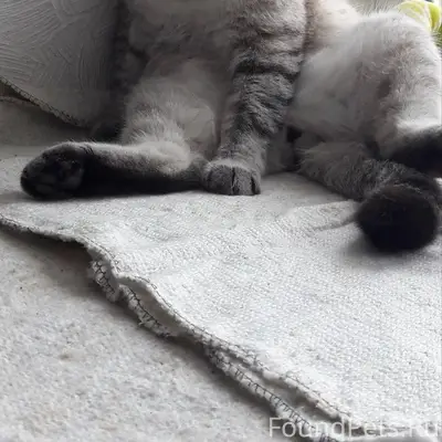 🚨🚨🚨

В районе 12 комплекта Нов...