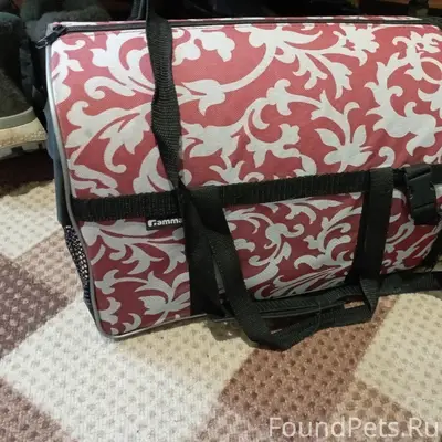 Найден котик, контактные данные в описании