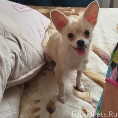 Найден мальчик, Балакирево