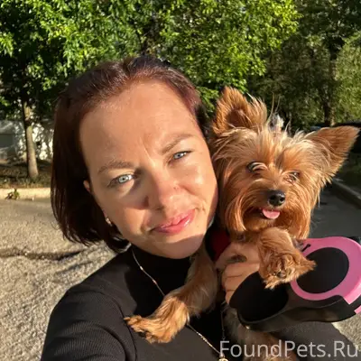 Пропала собака Луна