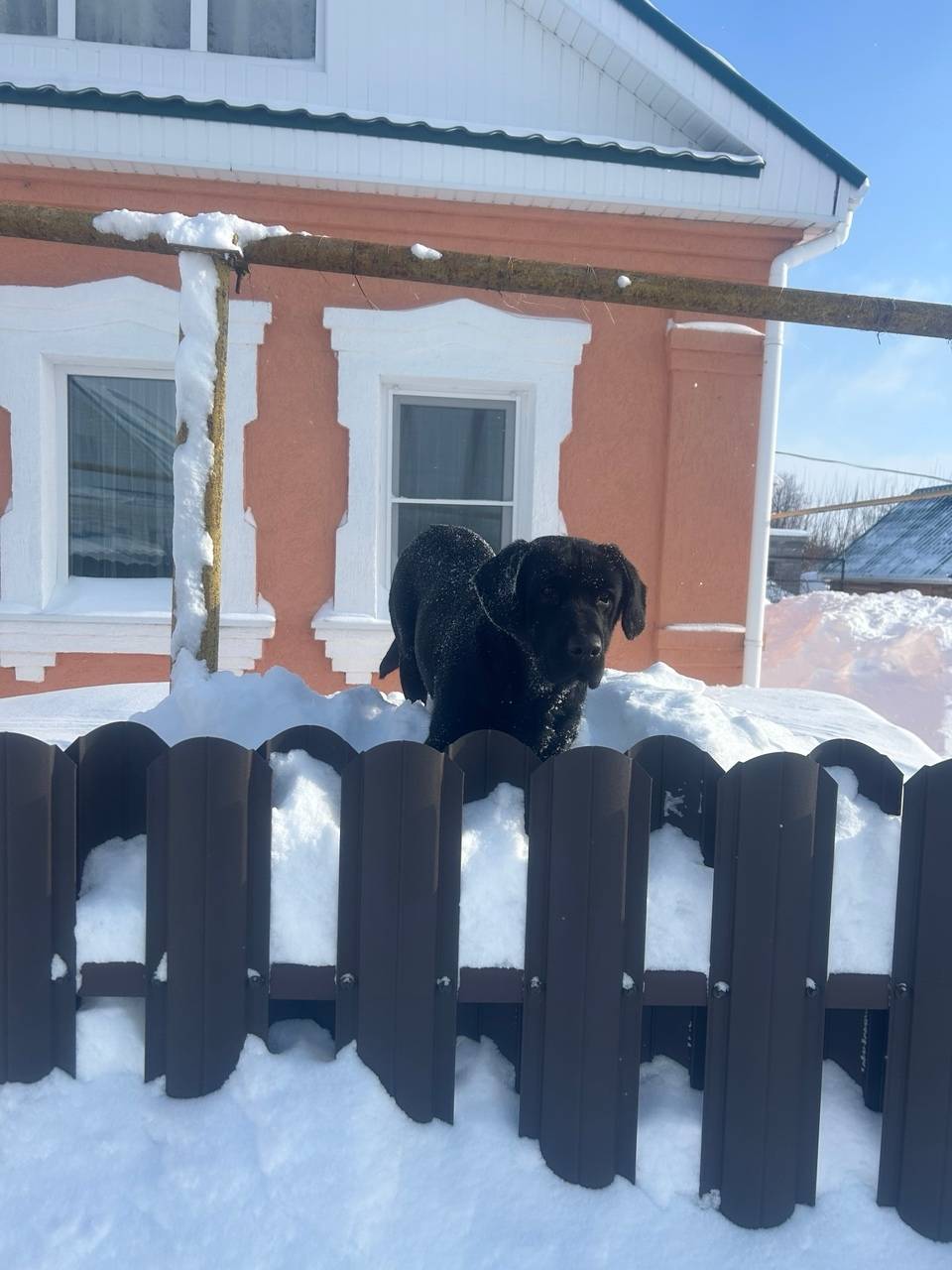 Пропал Рич, 2ая профсоюзная, район станции, гусево