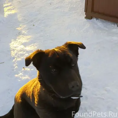 Пропал Граф, ул. Ф. Энгельса