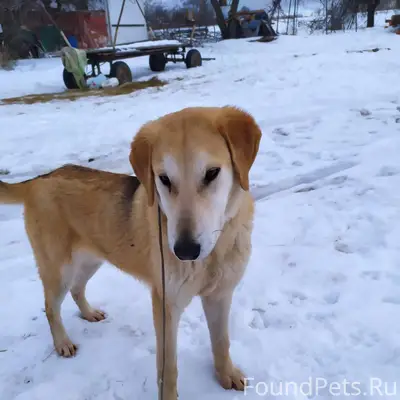 Пропал кабель, г. Ковров